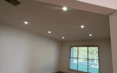 Shed Lighting & Power